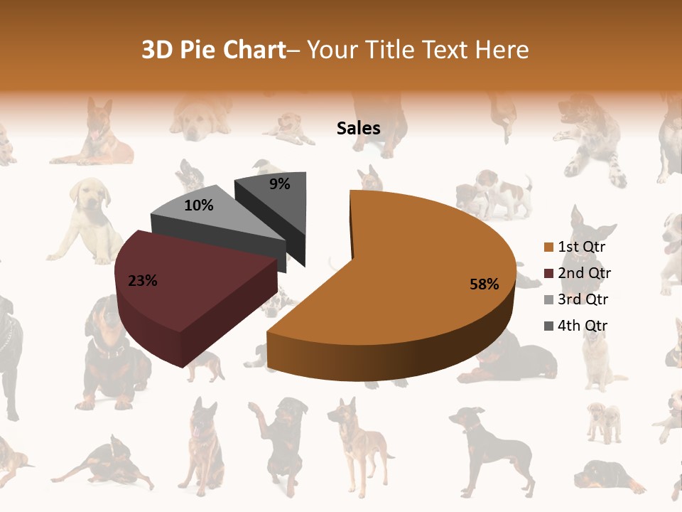 Canario Pinscher English PowerPoint Template