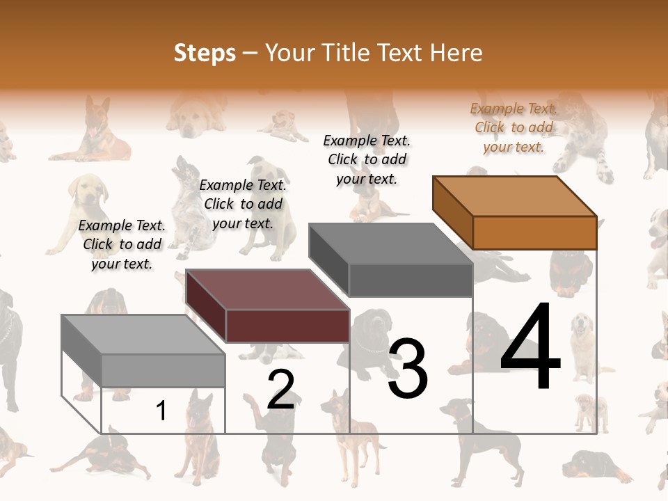 Canario Pinscher English PowerPoint Template