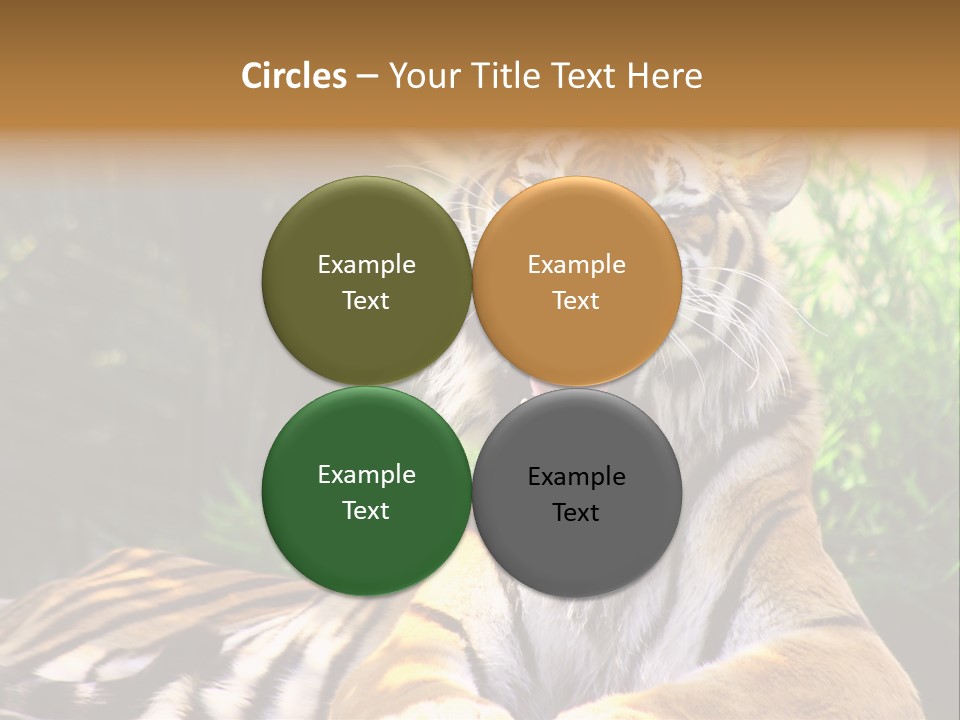 Morning African Mountain PowerPoint Template