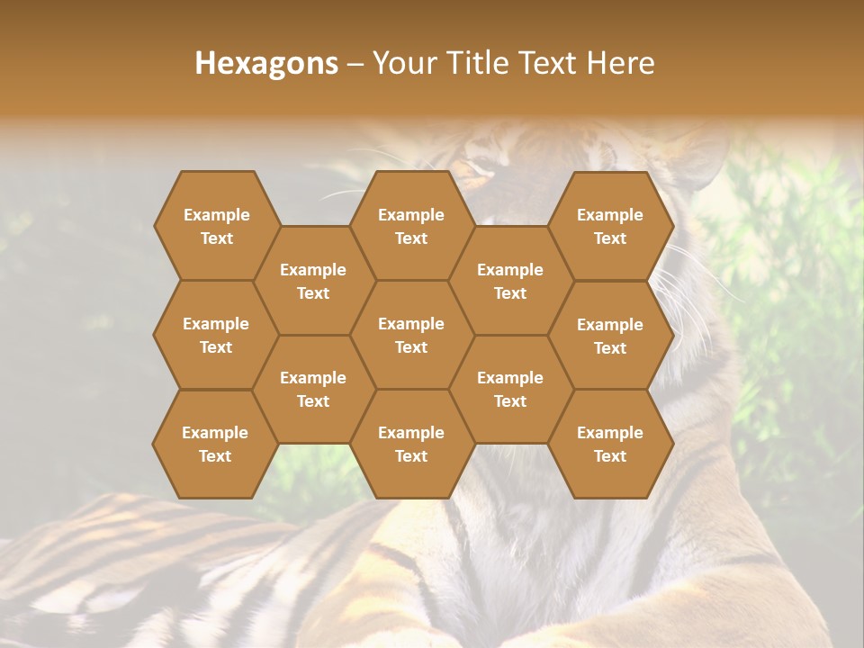 Morning African Mountain PowerPoint Template