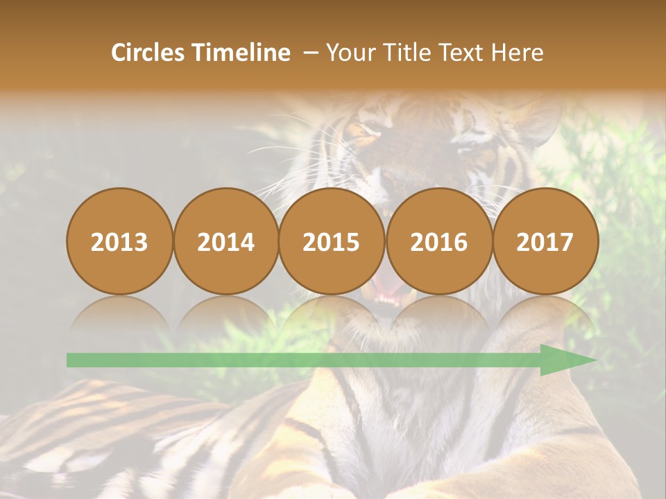 Morning African Mountain PowerPoint Template