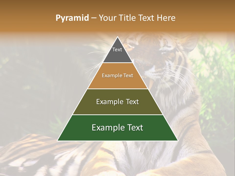 Morning African Mountain PowerPoint Template