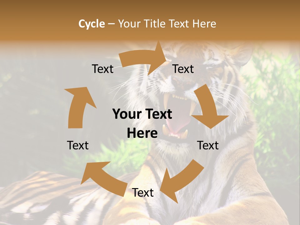 Morning African Mountain PowerPoint Template