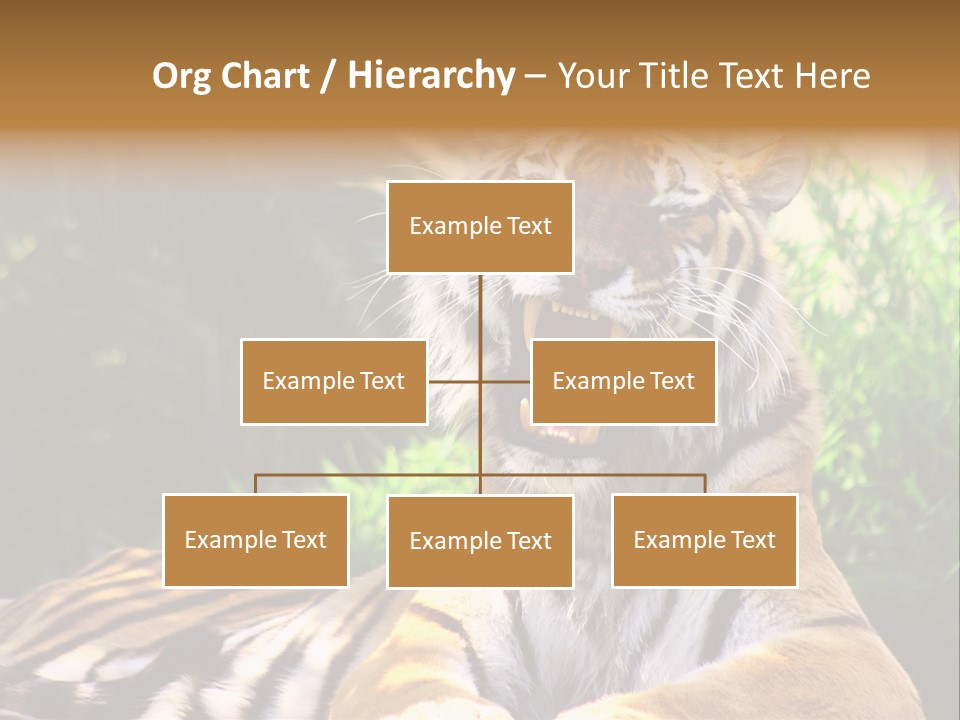 Morning African Mountain PowerPoint Template