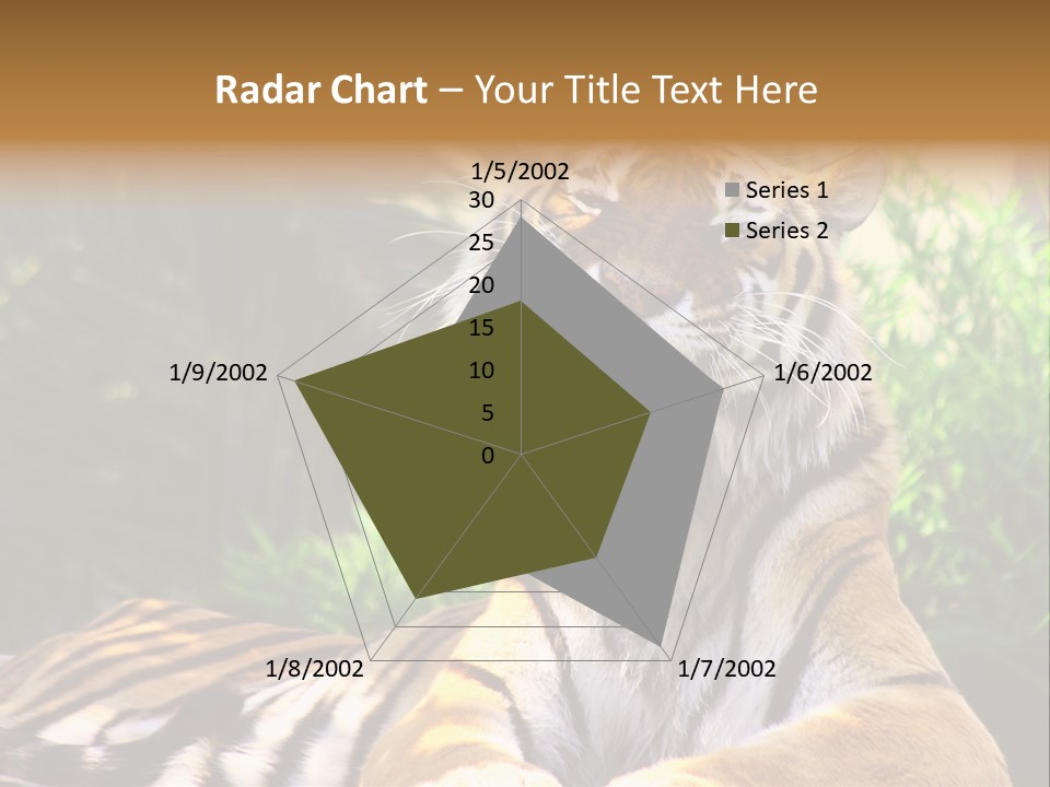 Morning African Mountain PowerPoint Template