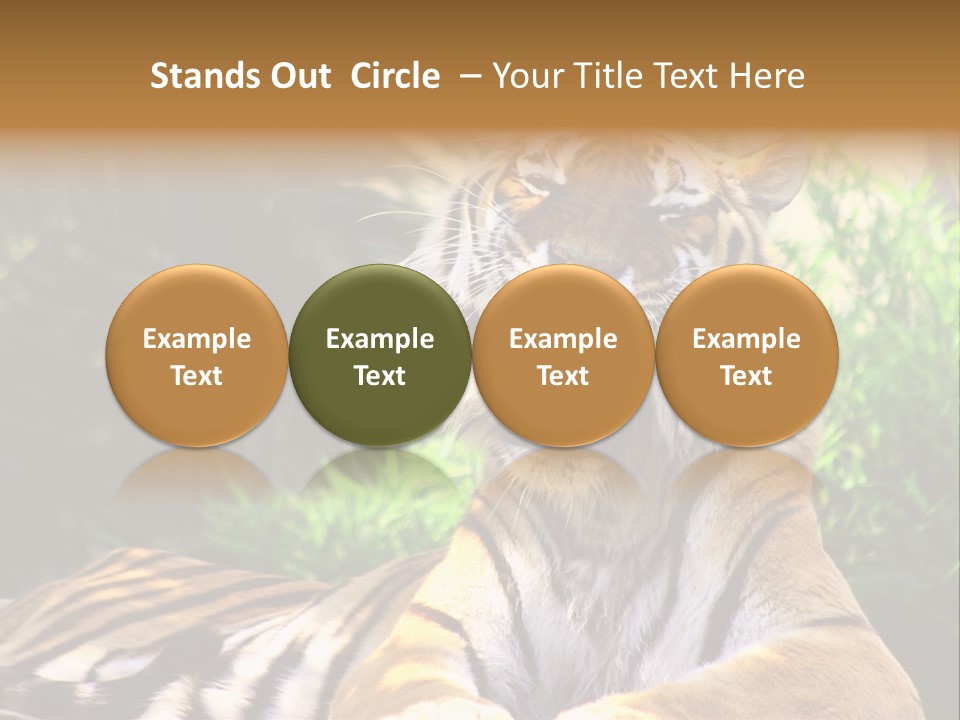 Morning African Mountain PowerPoint Template