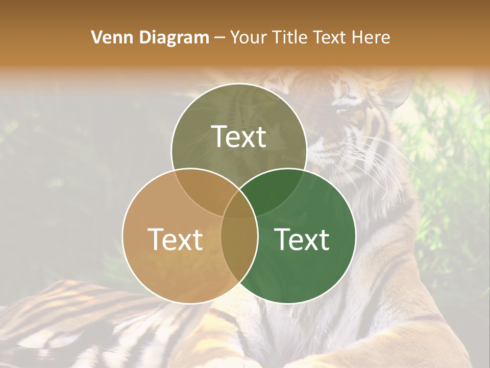 Morning African Mountain PowerPoint Template