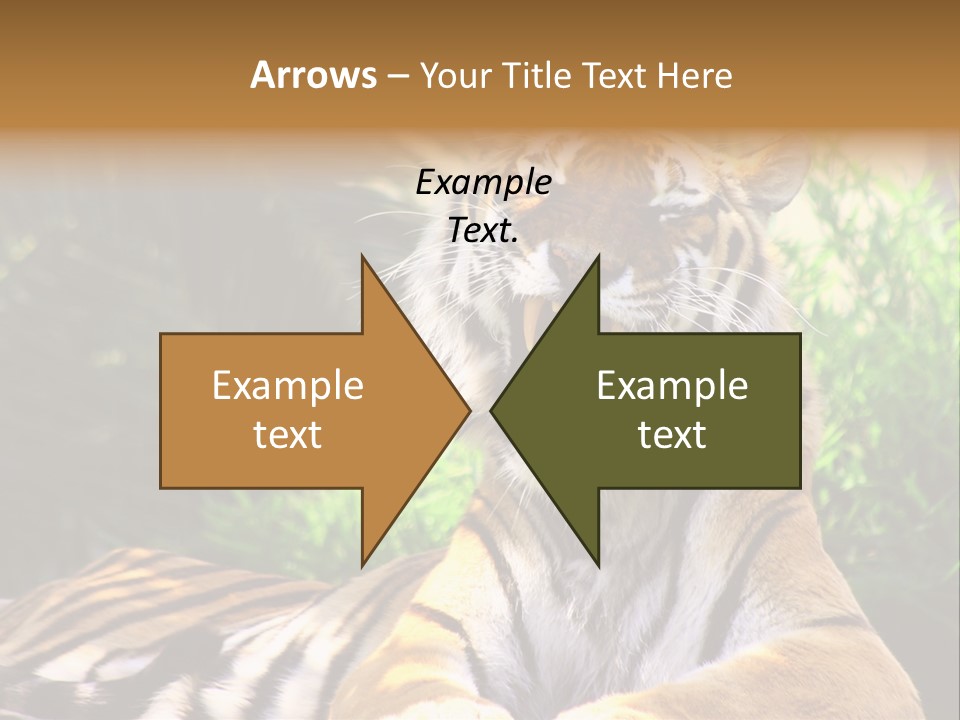 Morning African Mountain PowerPoint Template