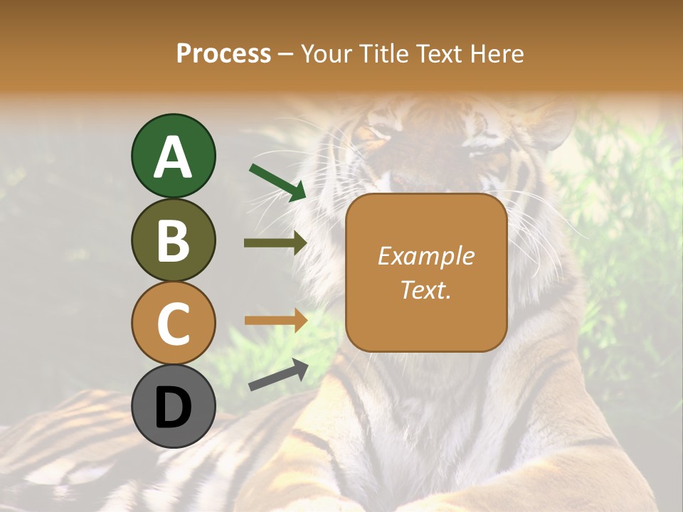 Morning African Mountain PowerPoint Template