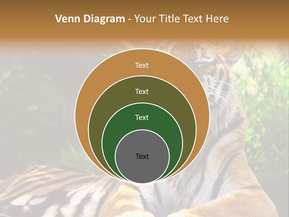 Morning African Mountain PowerPoint Template
