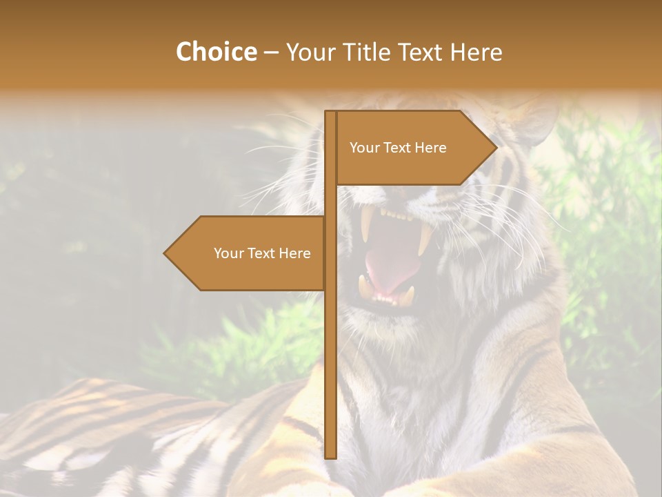 Morning African Mountain PowerPoint Template