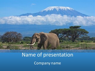 Morning African Mountain PowerPoint Template