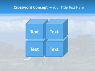 Morning African Mountain PowerPoint Template