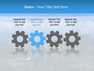 Morning African Mountain PowerPoint Template