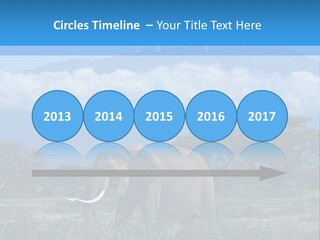 Morning African Mountain PowerPoint Template