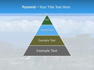 Morning African Mountain PowerPoint Template