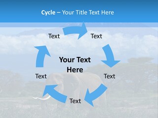 Morning African Mountain PowerPoint Template