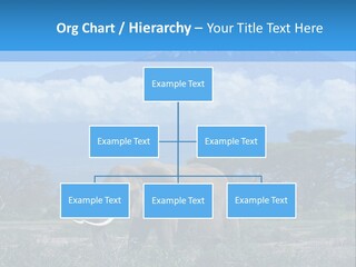 Morning African Mountain PowerPoint Template