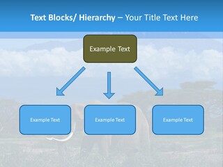 Morning African Mountain PowerPoint Template