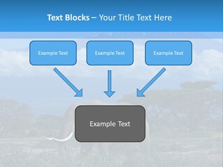 Morning African Mountain PowerPoint Template