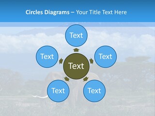 Morning African Mountain PowerPoint Template