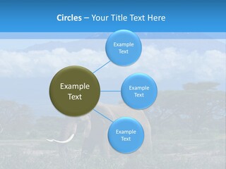 Morning African Mountain PowerPoint Template