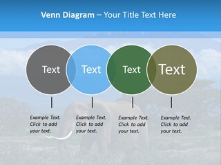 Morning African Mountain PowerPoint Template
