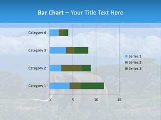 Morning African Mountain PowerPoint Template