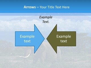 Morning African Mountain PowerPoint Template