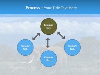 Morning African Mountain PowerPoint Template