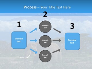Morning African Mountain PowerPoint Template