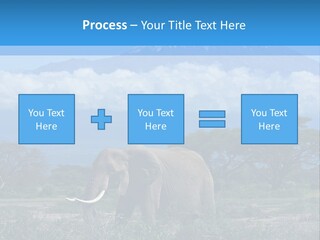 Morning African Mountain PowerPoint Template
