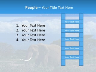 Morning African Mountain PowerPoint Template