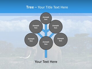 Morning African Mountain PowerPoint Template