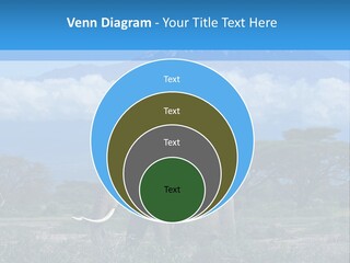 Morning African Mountain PowerPoint Template