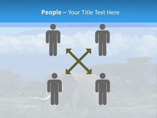 Morning African Mountain PowerPoint Template