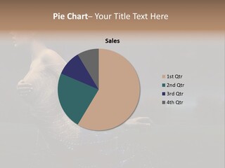 Portrait Mountains Tender PowerPoint Template