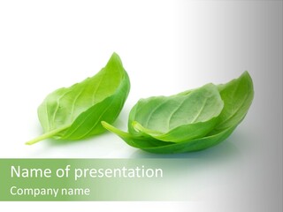 Herb Flavor Fresh PowerPoint Template