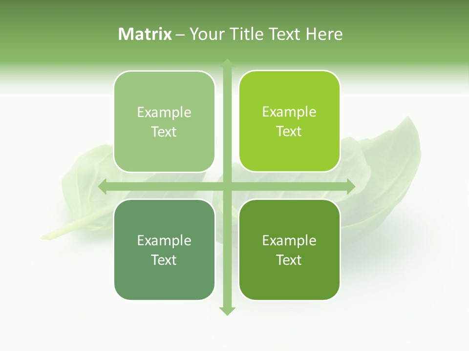 Herb Flavor Fresh PowerPoint Template