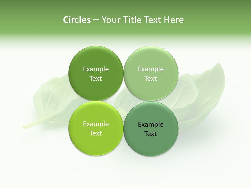 Herb Flavor Fresh PowerPoint Template