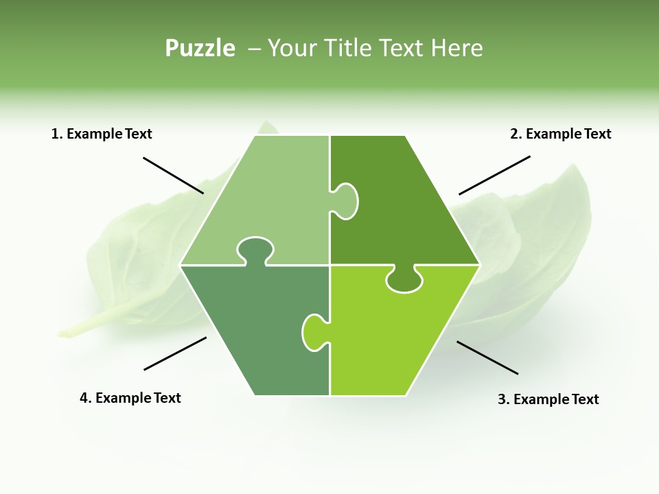 Herb Flavor Fresh PowerPoint Template