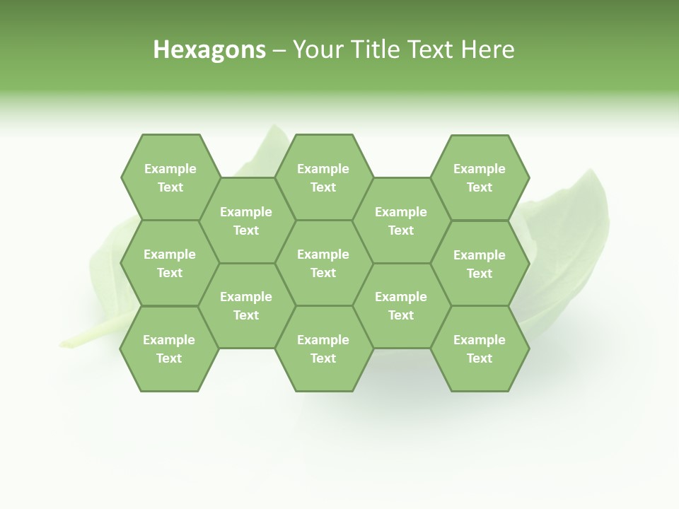 Herb Flavor Fresh PowerPoint Template