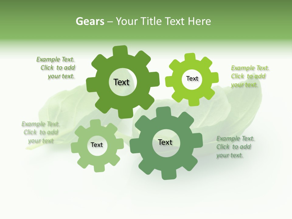 Herb Flavor Fresh PowerPoint Template