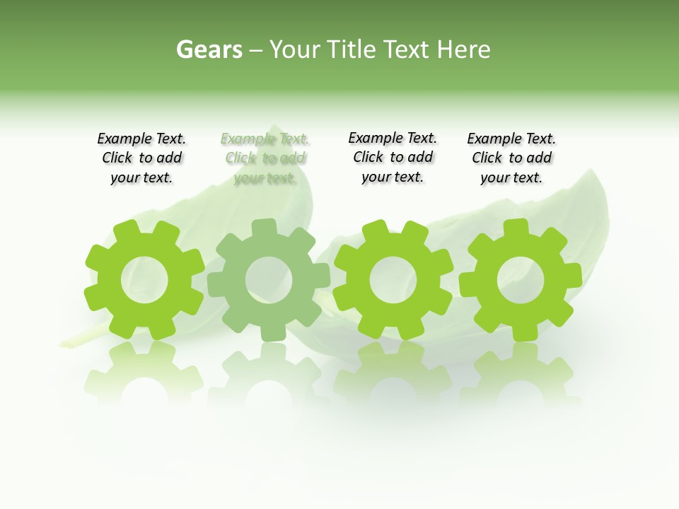 Herb Flavor Fresh PowerPoint Template