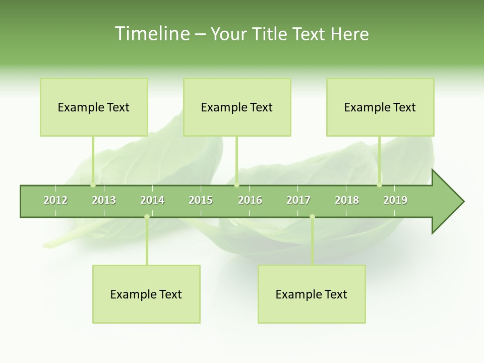 Herb Flavor Fresh PowerPoint Template