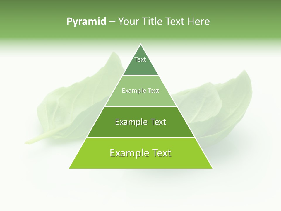 Herb Flavor Fresh PowerPoint Template