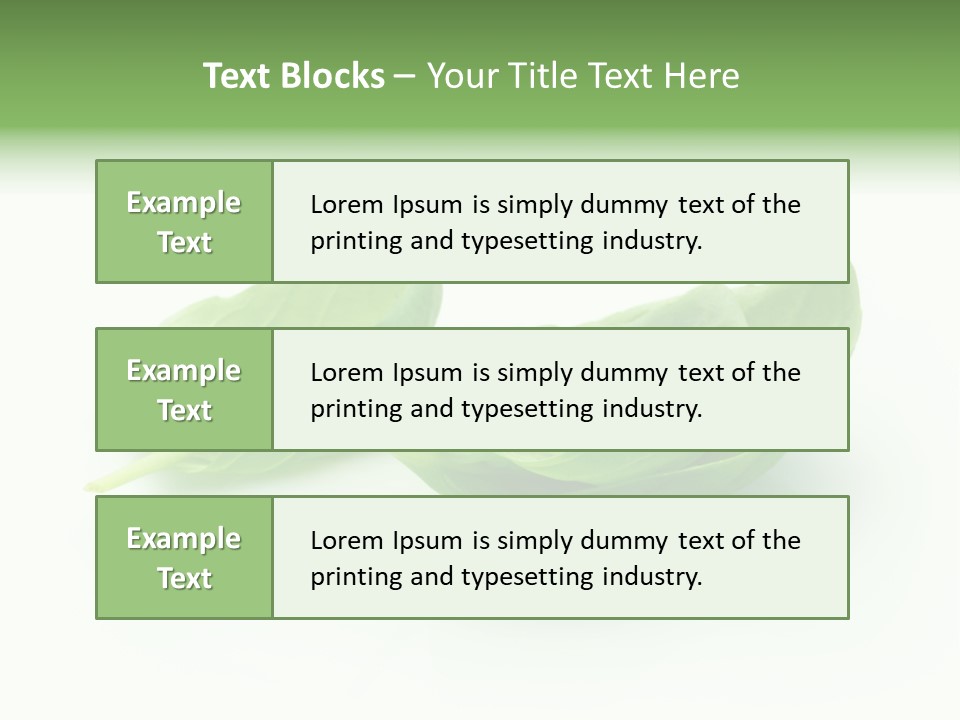 Herb Flavor Fresh PowerPoint Template