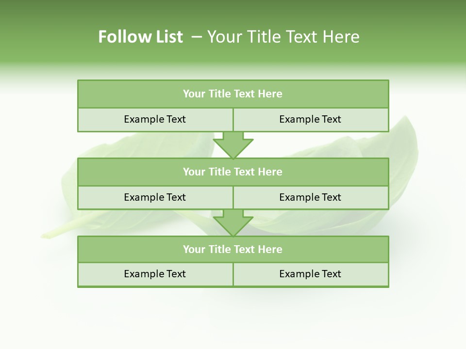 Herb Flavor Fresh PowerPoint Template