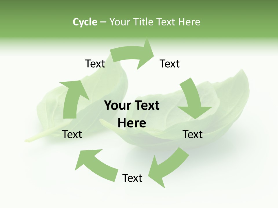 Herb Flavor Fresh PowerPoint Template