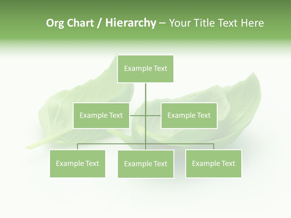 Herb Flavor Fresh PowerPoint Template